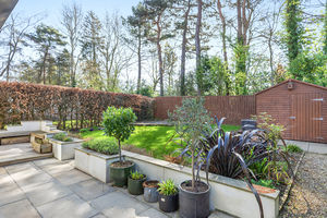 Photo 44- click for photo gallery